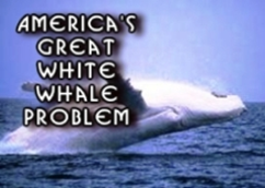 great-white-whale-problem-in-america-sm.jpg
