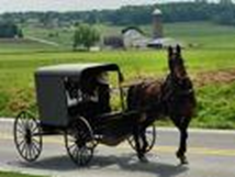 Amish People