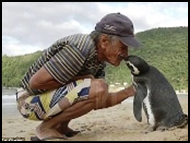 PENGUIN.jpg