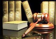 The-Law-sm.jpg