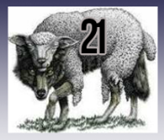 agenda-21-hoax.png