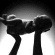 baby-lifted-up.jpg