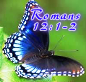 be-not-conformed-2.png