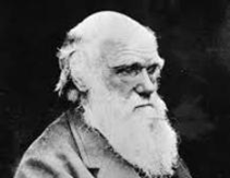 cancel-darwin-sm.jpg