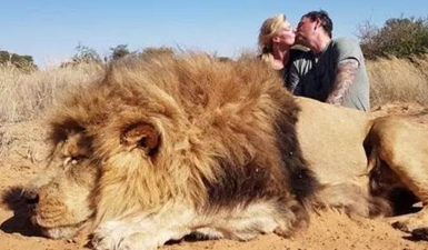 canned-lion-hunt.JPG