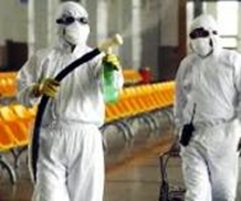 coronavirus-pandemic-sm.jpg