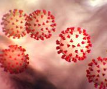 coronavirus-sm.jpg