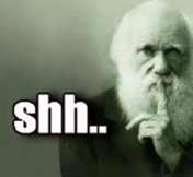 darwin-hush-up-sm.jpg