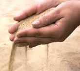 nothing-but-sand.jpg