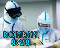 romans-8-sm.png