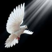 the-dove-sm.jpg