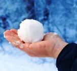 throwing-snowballs-sm.jpg