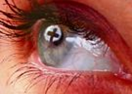 tn_Resurrection_will-I-see-God.JPG
