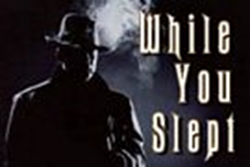 tn_While-You-Slept-1.jpg