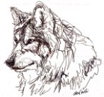 wolf.jpg