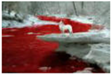 america talking green